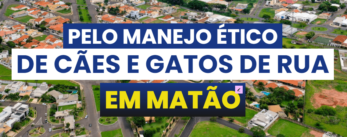 [Matão] Manejo populacional ético de cães e gatos de rua - Coletivo ...